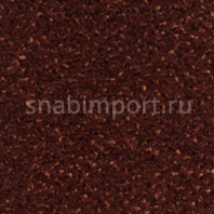 Контрактный ковролин Condor Сarpets Rubin 210 коричневый — купить в Москве в интернет-магазине Snabimport