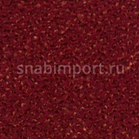 Контрактный ковролин Condor Сarpets Rubin 236 Красный — купить в Москве в интернет-магазине Snabimport