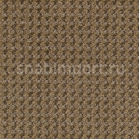 Ковровое покрытие Milliken CADENCE, SWIRL AND SYMPOSIUM Cadence 88 - Broadloom S15 Progression коричневый