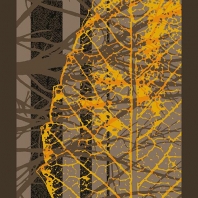 Ковер Durkan Print Etched S21621 Серый — купить в Москве в интернет-магазине Snabimport