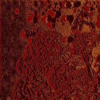 Ковер Durkan Print Nano Nature S23932 коричневый