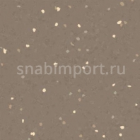 Каучуковое покрытие Nora noraplan signa 2787 коричневый — купить в Москве в интернет-магазине Snabimport