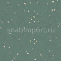 Каучуковое покрытие Nora noraplan signa 2947 зеленый — купить в Москве в интернет-магазине Snabimport
