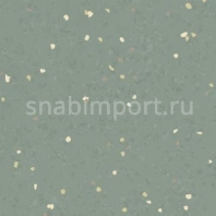 Каучуковое покрытие Nora noraplan signa 2948 зеленый — купить в Москве в интернет-магазине Snabimport