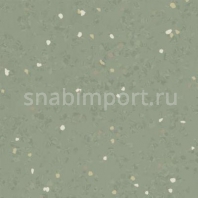 Каучуковое покрытие Nora noraplan signa 2953 зеленый — купить в Москве в интернет-магазине Snabimport
