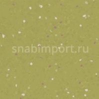 Каучуковое покрытие Nora noraplan signa 2954 зеленый — купить в Москве в интернет-магазине Snabimport