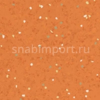Каучуковое покрытие Nora noraplan signa 2961 оранжевый — купить в Москве в интернет-магазине Snabimport