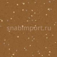 Каучуковое покрытие Nora noraplan signa 2969 коричневый — купить в Москве в интернет-магазине Snabimport