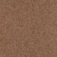 Ковровое покрытие Carus Samourai 336 коричневый