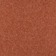 Ковровое покрытие Carus Samourai 751 коричневый