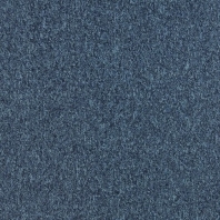 Ковровое покрытие Carus Samourai 890 Серый