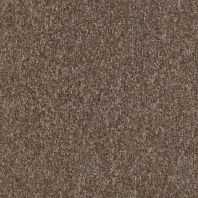 Ковровое покрытие Carus Samourai 989 коричневый