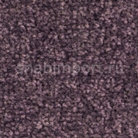 Ковровое покрытие Balsan Scenario 870 PURPLE Фиолетовый — купить в Москве в интернет-магазине Snabimport