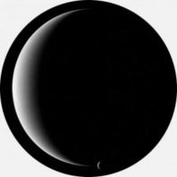 Гобо стеклянные Rosco B/W Scene 81173 чёрный — купить в Москве в интернет-магазине Snabimport