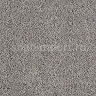 Ковровое покрытие Karastan Seaside Romance Pearl Grey серый — купить в Москве в интернет-магазине Snabimport