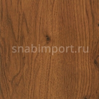 Дизайн плитка Amtico First Wood SF3W2494 коричневый