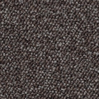 Ковровое покрытие Associated Weavers Shelbourne 40 Серый — купить в Москве в интернет-магазине Snabimport