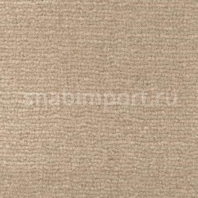 Ковровое покрытие Radici Pietro Maratea SHELL 4951 коричневый — купить в Москве в интернет-магазине Snabimport