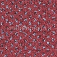 Ковровое покрытие Balsan Signature 590 FUSCHIA Красный