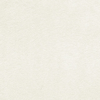 Ковровое покрытие Associated Weavers Silk-04 белый