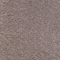 Ковровое покрытие AW SIRIUS 16 Серый — купить в Москве в интернет-магазине Snabimport