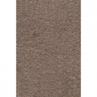 Ковровое покрытие AW SIRIUS 34 коричневый — купить в Москве в интернет-магазине Snabimport