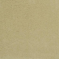 Ковровое покрытие Masland Solid 7105-01501 Бежевый