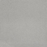 Ковровое покрытие Masland Solid 7105-01503 Серый