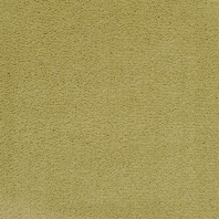 Ковровое покрытие Masland Solid 7105-01504 Бежевый