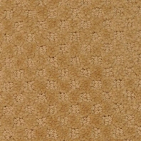 Ковровое покрытие Masland Southport 9540-331 коричневый