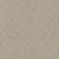 Ковровое покрытие Masland Southport 9540-827 Серый