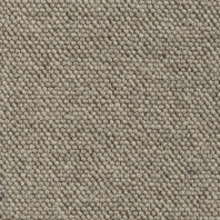 Ковер Bestwool Splendid Balm Бежевый — купить в Москве в интернет-магазине Snabimport