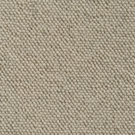 Ковер Best Wool Splendid Pearl Бежевый