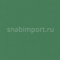 Спортивный линолеум Polyflor Sport 67 7515 Green — купить в Москве в интернет-магазине Snabimport