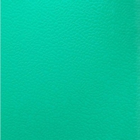 Спортивный линолеум Balance Sportfloor PVC 6.5, зеленый зеленый