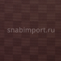 Ковровое покрытие Carpet Concept Sqr Basic 10x10 chocolate коричневый — купить в Москве в интернет-магазине Snabimport