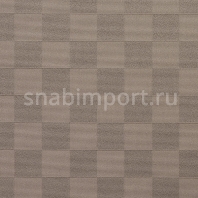 Ковровое покрытие Carpet Concept Sqr Basic 10x10 sandy beach Серый — купить в Москве в интернет-магазине Snabimport