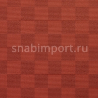 Ковровое покрытие Carpet Concept Sqr Basic 10x10 terracotta Красный — купить в Москве в интернет-магазине Snabimport