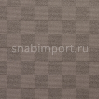 Ковровое покрытие Carpet Concept Sqr Basic 10x10 warm grey Серый — купить в Москве в интернет-магазине Snabimport