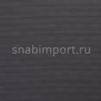 Ковровое покрытие Carpet Concept Sqr Basic 5x5 ebony Серый