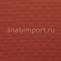 Ковровое покрытие Carpet Concept Sqr Basic 5x5 terracotta Красный — купить в Москве в интернет-магазине Snabimport