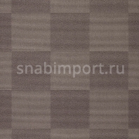 Ковровое покрытие Carpet Concept Sqr Nuance 20x20 warm grey Серый — купить в Москве в интернет-магазине Snabimport