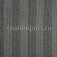 Ковровое покрытие Carpet Concept Sqr Nuance Stripe 10 steel Серый — купить в Москве в интернет-магазине Snabimport