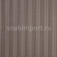 Ковровое покрытие Carpet Concept Sqr Nuance Stripe 5 warm grey Серый — купить в Москве в интернет-магазине Snabimport