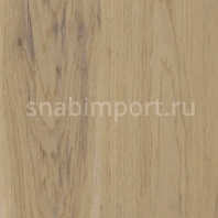 Дизайн плитка Amtico Spacia Wood SS5W1020 Бежевый — купить в Москве в интернет-магазине Snabimport