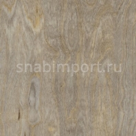 Дизайн плитка Amtico Spacia Wood SS5W2516 Серый — купить в Москве в интернет-магазине Snabimport