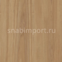 Дизайн плитка Amtico Spacia Wood SS5W2525 Бежевый — купить в Москве в интернет-магазине Snabimport