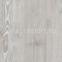 Дизайн плитка Amtico Spacia Wood SS5W2540 Серый — купить в Москве в интернет-магазине Snabimport