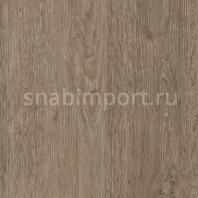 Дизайн плитка Amtico Spacia Wood SS5W2650 коричневый — купить в Москве в интернет-магазине Snabimport