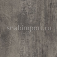 Дизайн плитка Amtico Spacia Wood SS5W2652 Серый — купить в Москве в интернет-магазине Snabimport